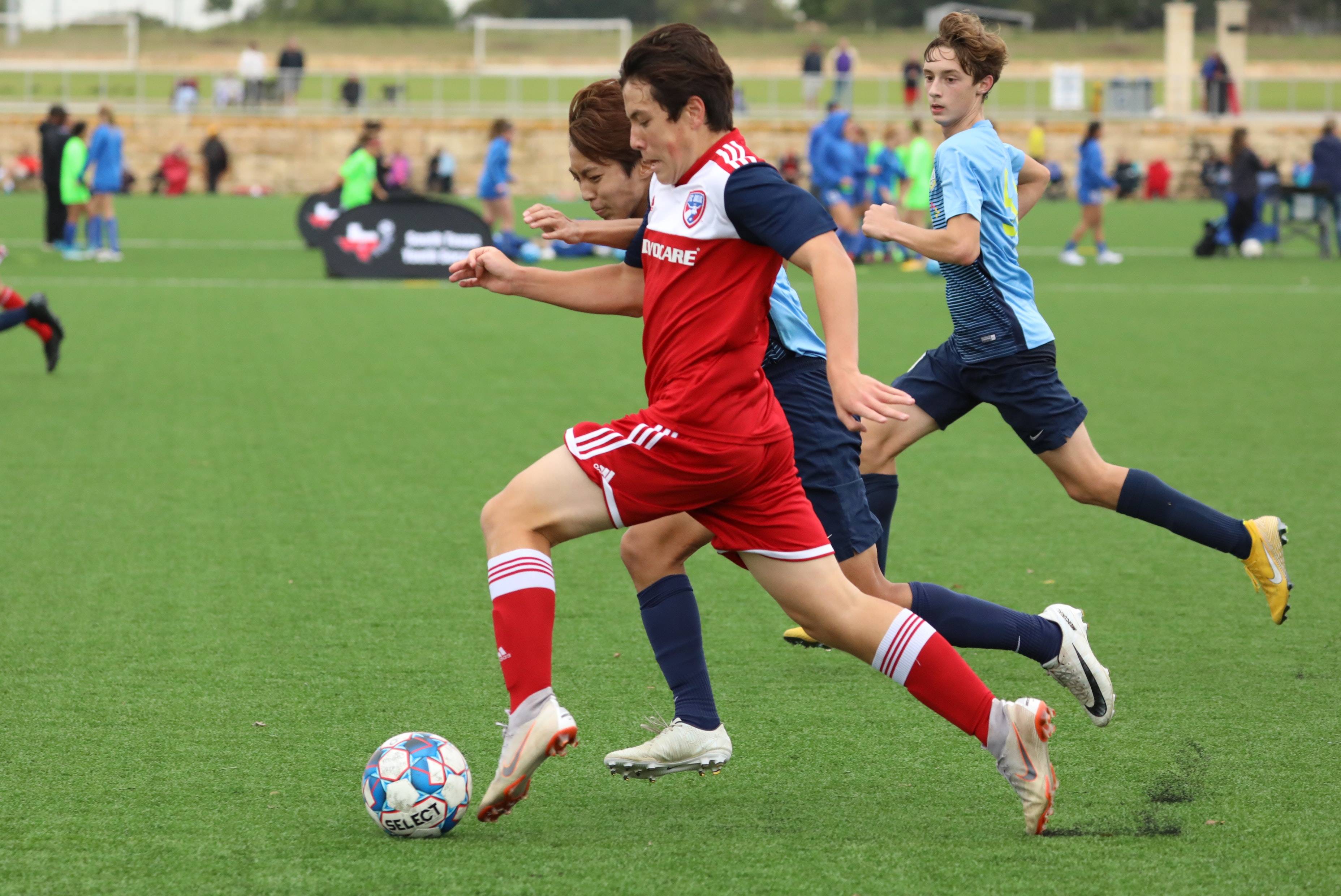 导并非华丽 导并非华丽